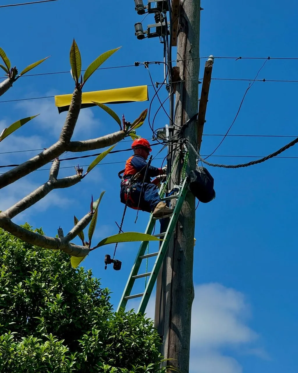 Level 2 Overhead Power — All Things Power Central Coast